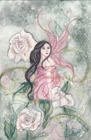 White Rose fairy 
